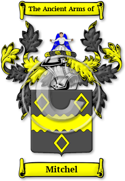 Mitchel Family Crest Download (jpg) Legacy Series - 150 DPI