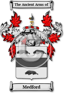 Medford Family Crest Download (jpg) Legacy Series - 150 DPI