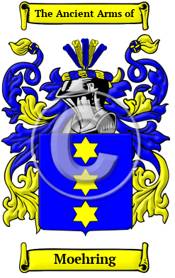 Moehring Family Crest/Coat of Arms