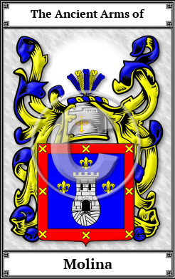 Molina Family Crest Download (JPG) Book Plated - 600 DPI