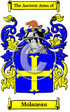 Molaneau Family Crest/Coat of Arms