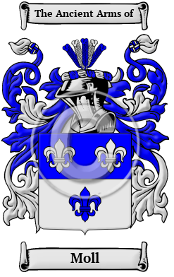 Moll Family Crest/Coat of Arms