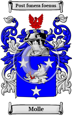 Molle Family Crest/Coat of Arms