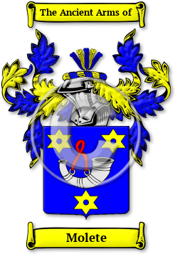 Molete Family Crest Download (jpg) Legacy Series - 150 DPI