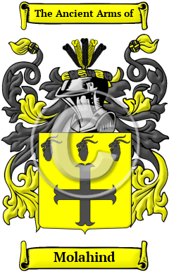Molahind Family Crest/Coat of Arms