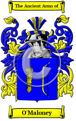 O'Maloney Family Crest/Coat of Arms