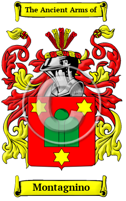 Montagnino Family Crest/Coat of Arms