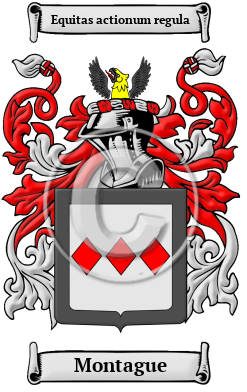 Montague Name Meaning, Family History, Family Crest & Coats of Arms