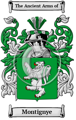 Montignye Family Crest/Coat of Arms