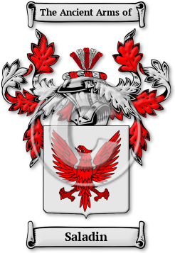 Saladin Family Crest Download (jpg) Legacy Series - 150 DPI