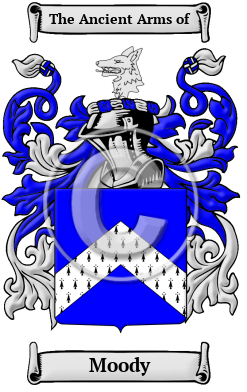 Moody Family Crest/Coat of Arms