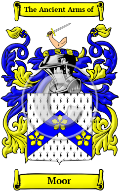 Moor Family Crest/Coat of Arms