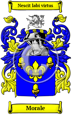 Morale Family Crest/Coat of Arms