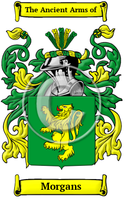 Morgans Family Crest/Coat of Arms