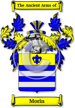Morin Family Crest Download (jpg) Legacy Series - 150 DPI