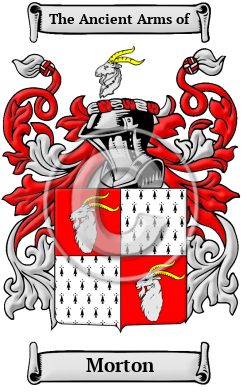 Morton Name Meaning, Family History, Family Crest & Coats of Arms, English