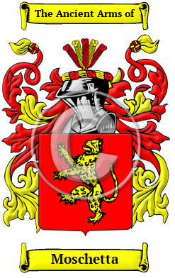 Moschetta Family Crest/Coat of Arms