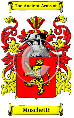 Moschetti Family Crest/Coat of Arms