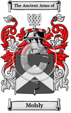 Molsly Family Crest/Coat of Arms