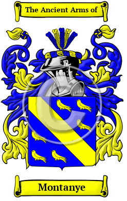 Montanye Family Crest/Coat of Arms