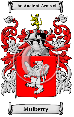 Mulberry Family Crest/Coat of Arms