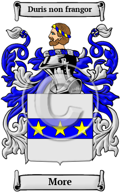 More Family Crest/Coat of Arms