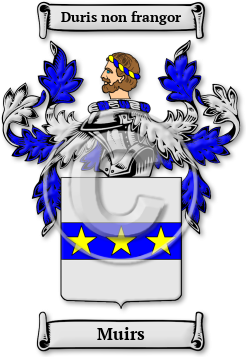 Muirs Family Crest Download (jpg) Legacy Series - 150 DPI