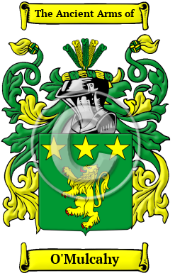 O'Mulcahy Family Crest/Coat of Arms