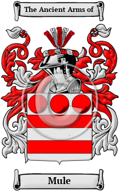 Mule Family Crest/Coat of Arms