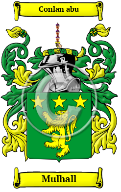 Mulhall Family Crest/Coat of Arms