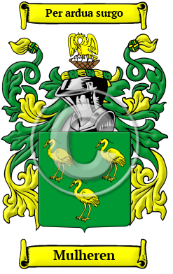 Mulheren Family Crest/Coat of Arms