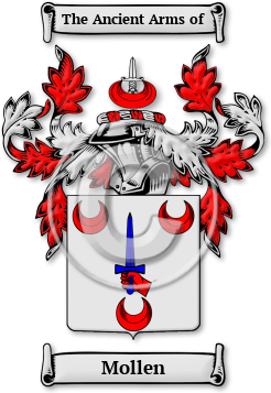 Mollen Family Crest Download (JPG) Legacy Series - 600 DPI