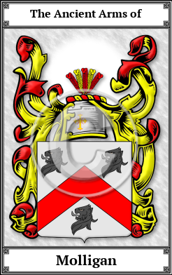 Molligan Family Crest Download (JPG)  Book Plated - 150 DPI