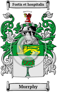 Murrphy Family Crest/Coat of Arms