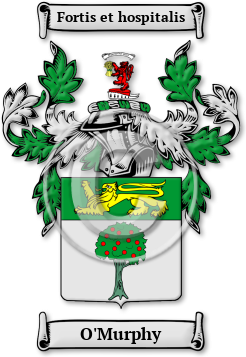 O'Murphy Family Crest Download (jpg) Legacy Series - 150 DPI