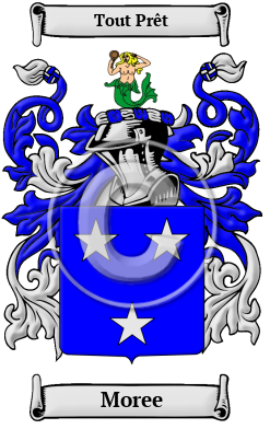 Moree Family Crest/Coat of Arms
