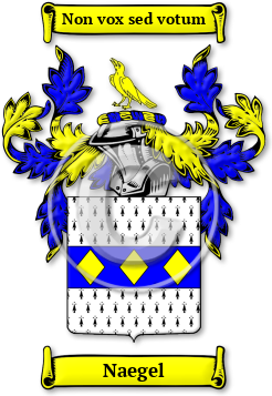 Naegel Family Crest Download (jpg) Legacy Series - 150 DPI