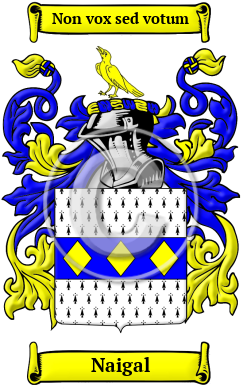 Naigal Family Crest/Coat of Arms
