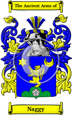Naggy Family Crest/Coat of Arms