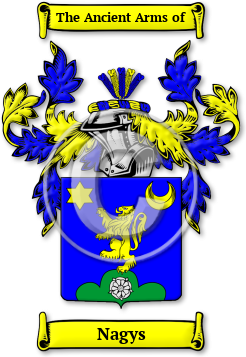 Nagys Family Crest Download (jpg) Legacy Series - 150 DPI