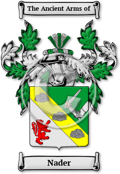 Nader Family Crest Download (jpg) Legacy Series - 150 DPI