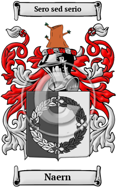 Naern Family Crest/Coat of Arms