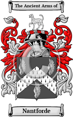 Nantforde Family Crest/Coat of Arms