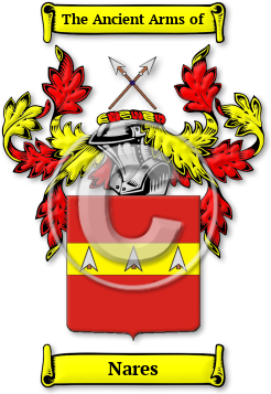 Nares Family Crest Download (jpg) Legacy Series - 150 DPI