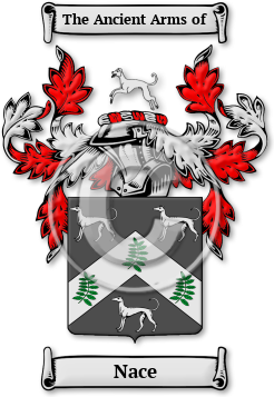 Nace Family Crest Download (jpg) Legacy Series - 150 DPI