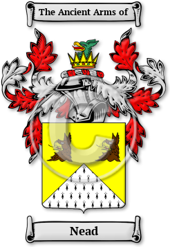 Nead Family Crest Download (jpg) Legacy Series - 150 DPI