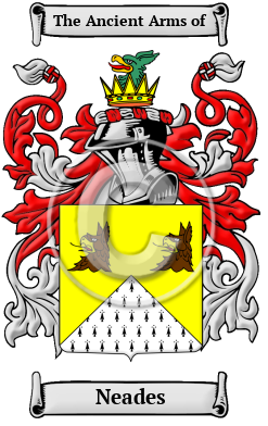 Neades Family Crest Download (JPG) Heritage Series - 600 DPI