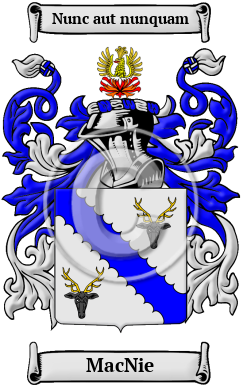 MacNie Family Crest/Coat of Arms