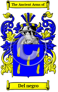 Del negro Family Crest/Coat of Arms