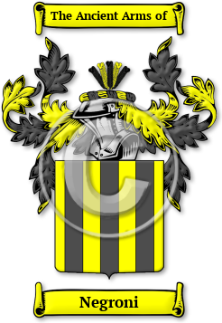 Negroni Family Crest Download (jpg) Legacy Series - 150 DPI